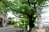 武蔵野稲荷神社