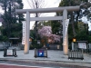 阿佐ヶ谷神明宮