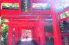 三光稲荷神社
