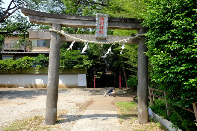 氷川台氷川神社