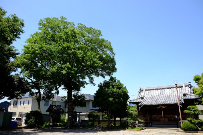 島氷川神社
