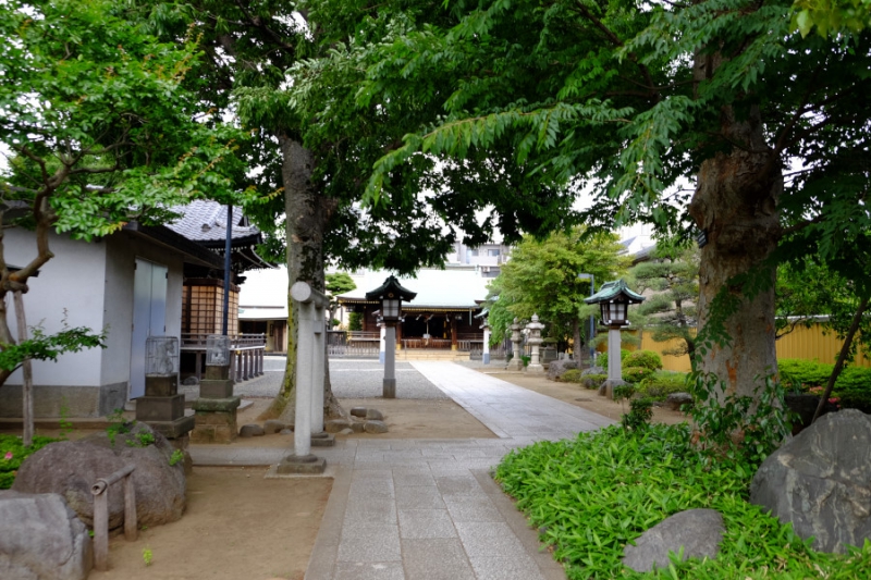新井宿春日神社