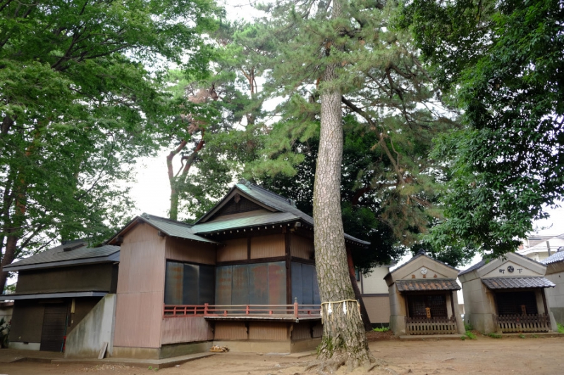 下高井戸浜田山八幡神社