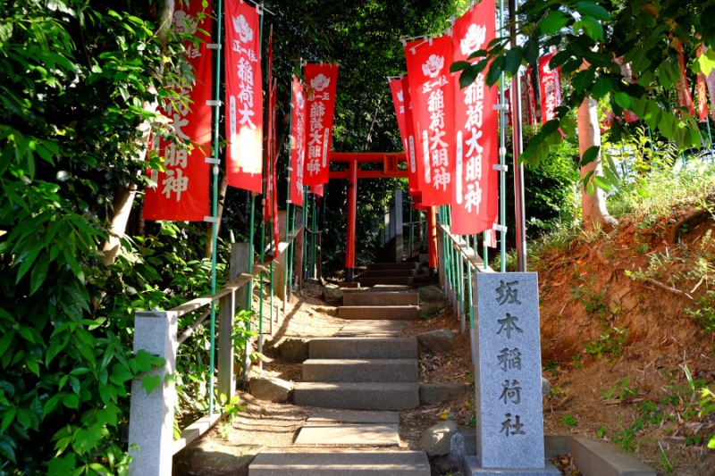 恋ヶ窪坂本稲荷神社