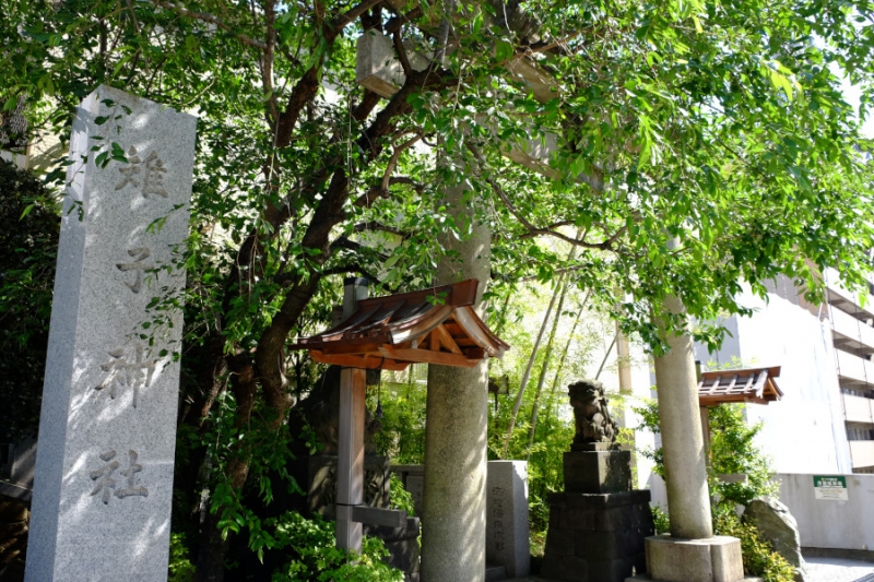 雉子神社